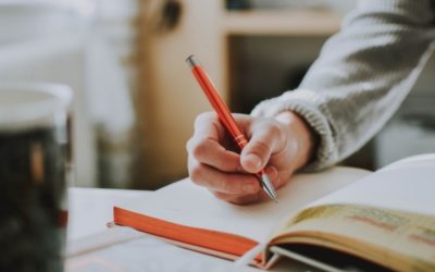 Why Take Language Classes With YLC?