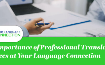 The Importance of Professional Translation Services at Your Language Connection
