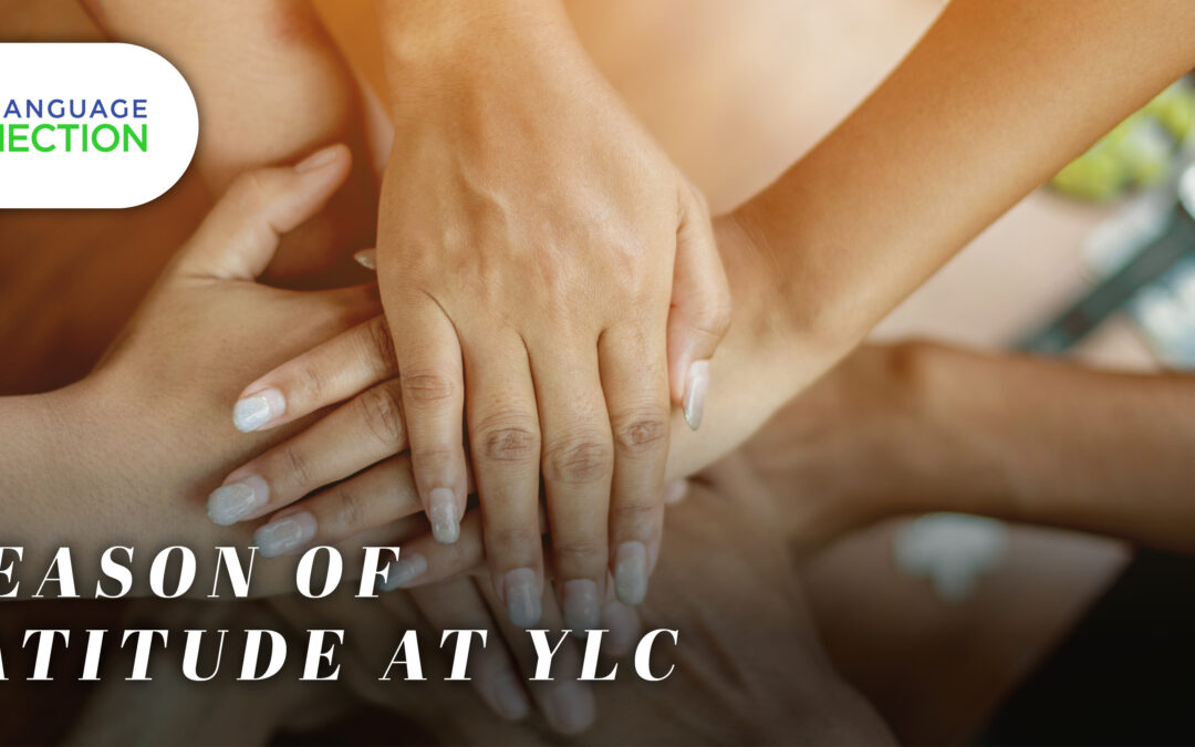 A Season of Gratitude at YLC